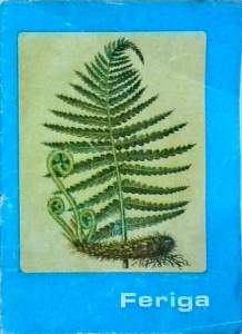 Feriga (1971)