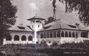 Gaesti. Caminul de copii (circulata 1961)