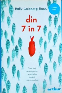 Holly Goldberg Sloan - Din 7 in 7