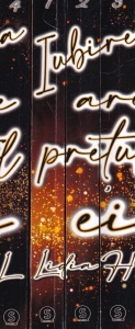 Lidia Hl - Iubirea are pretul ei, 4 volume