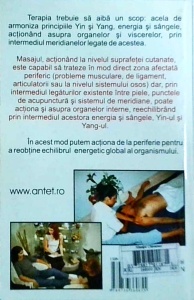 Lucio Sotte - Masajul chinezesc. Tipuri de masaj si terapii - Img 2