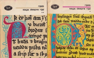 Njala - Saga despre Njal, 2 volume