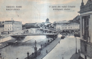 Oradia Mare. O Parte Din Malul Crisului (circulata 1924)