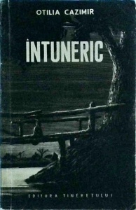 Otilia Cazimir - Intuneric. Din carnetul unei doctorese