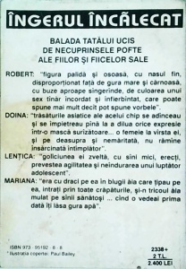 Radu Aldulescu - Ingerul incalecat - Img 2