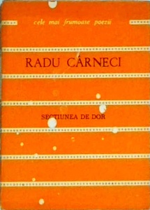 Radu Carneci - Sectiunea de dor