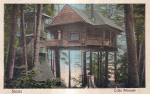 Sinaia. Cuibu Princesei (necirculata)