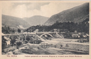Tg. Ocna. Vedere generala cu muntele Magura si drumul spre Slanic-Moldova (1934, necirculata)
