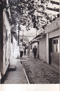 Ada-Kaleh - Vedere (circulata 1960)