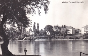 Arad - Pe malul Muresului (necirculata)