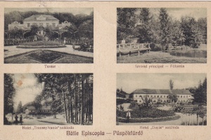 Baile Episcopia. Terase. Izvorul principal - Foforras. Hotel ,,Transsylvania" szalloda. Hotel ,,Dacia" szalloda (circulata 1931)