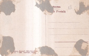 Baile Herculane. Vila ,,Livia" (Podul Rosu) (1926, necirculata) - Img 2