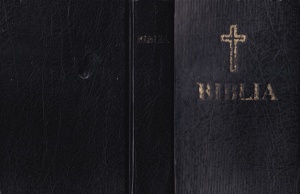 Biblia sau Sfanta Scriptura