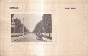 Botosani. Bulevardul (circulata 1929)