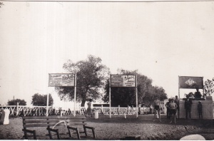 Braila (necirculata)