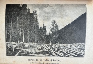 Descriere de Silvestru Moldovan - Zarandul si Muntii Apuseni ai Transilvaniei. Cu 9 ilustratiuni si o schita (1898) - Img 3