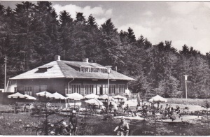 Gura Humorului. Cabana de la Ilisesti (circulata 1965)