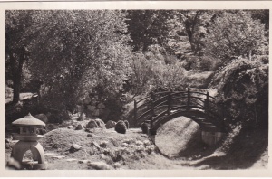 Kolozsvar. Botanikus-Kert (necirculata)