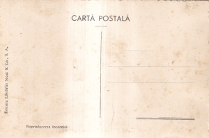 Parcul Carol II ,,Luna Bucurestilor" 1936 (Necirculata) - Img 2