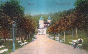 Pitesti. Aleea ,,Trivalea" (circulata)
