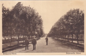 Ramnicu-Sarat. Bulevardu Garei (necirculata)