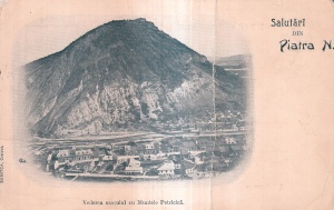 Salutari din Piatra Neamt. Vederea orasului cu Muntele Petricica (circa 1900, necirculata)