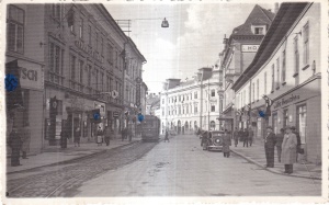 Sibiu. Strada Regina Maria (necirculata)