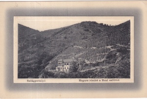 Simleu Silvaniei / Szilagysomlyo Magura reszlet a Moni szolovel (circulata 1913)