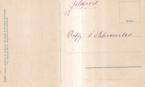 Sinaia O privire spre Hotel Caraiman si Munti Bucegi (necirculata, circa 1910) - Img 2