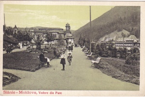 Slanic-Moldova. Vedere din Parc (necirculata, circa 1910) - Img 1