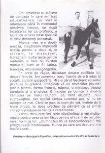 Vasile Adamescu - Infruntand viata, volumul 1 - Img 2