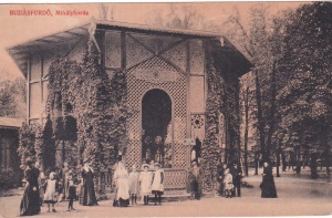 Baile Buzias, Izvorul Mihai / Buziasfurdo Mihályforrás (necirculata)