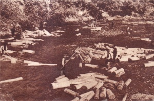 Bradet. Valsanul (circulata 1960)