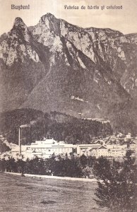 Busteni. Fabrica de hartie si celuloza (necirculata)