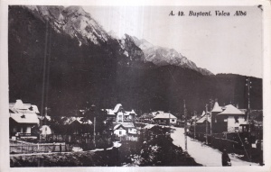 Busteni. Valea Alba (necirculata)