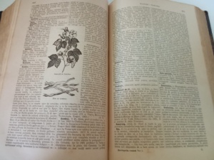 C. Diaconovich - Enciclopedia Romana, Ediția princeps (1898–1904) completa, 3 volume - Img 11
