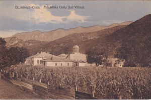 Calimanesti - Cozia. Manastirea Cozia (Jud. Valcea)