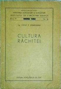 Constantin Damaceanu - Cultura Rachitei