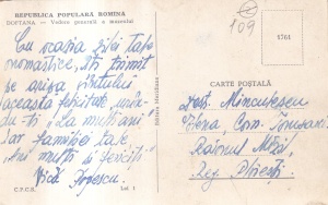 Doftana - Vedere generala a muzeului - Img 2