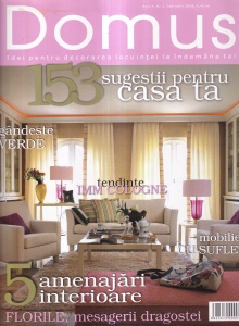 Domus. Idei pentru decorarea locuinţei la îndemâna ta, nr. 2, februarie 2008