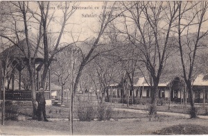 Gradina Bailor Nastasachi cu Pavilionul de muzica (Peste Vale). Salutari din Tg. Ocna (circulata 1912)