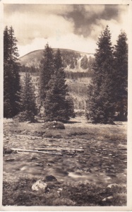 Sectia Sebes Alba. Raul mare cu Surian (circulata 1939)