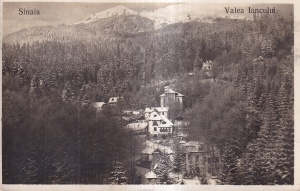Sinaia. Valea Iancului (circulata 1924)