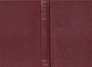 Theodor Constantin - Capitanul de cursa lunga