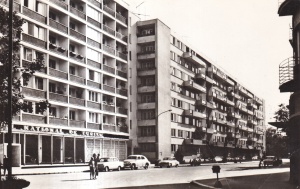 Timisoara. Str. Piatra Craiului (necirculata)
