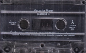 Vacanta Mare – Garcea 3 - Img 4