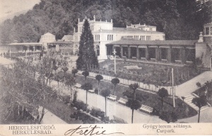 Baile Herculane / Herkulesfurdo. Gyogyterem setanya. Curpark (circulata 1904)