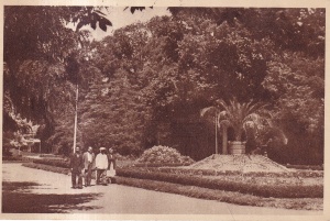Buzias - Parcul (circulata 1952)
