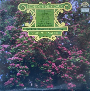 Dvorak Chamber Orchestra, Vladimir Valek – Moments Musicaux