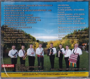 Florin Sandru, Formatia Fratii Sandru - Vreau in brate sa te am (sigilata) - Img 2